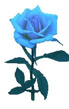 Kỷ niệm Ngày Thương binh-Liệt sĩ 27/7/2008 qua một số bài thơ về Cố Giáo sư Đặng Văn Ngữ