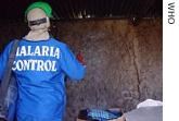Phòng chống vector sốt rét ở Châu Phi-Chiến lược và thách thức