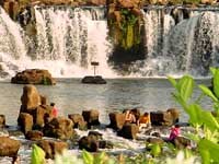 Mùa hè đi du lịch sinh thái coi chừng bị vắt đốt