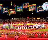 Festival Tây Sơn Bình Định năm 2008-Lễ hội của lễ hội