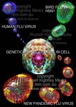 Virus cúm A (H5N1) có thể lây truyền từ muỗi sang người được không ?