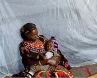 Thông tin mới về sốt rét trên thế giới từ tháng 1-6/2008