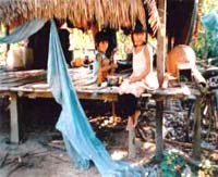 Dự án Quỹ Toàn cầu Phòng chống Sốt rét Việt Nam (VGFMalaria) tài trợ hoạt động cho tỉnh Thừa Thiên Huế