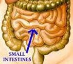 Sán lá ruột lớn và sán lá ruột nhỏ-các bệnh ký sinh trùng chưa được cộng đồng quan tâm