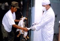 Các hoạt động kiểm soát dịch bệnh tháng 9 năm 2008