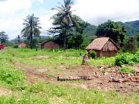 Khu vực miền Trung-Tây Nguyên tăng cường các biện pháp phòng chống dịch sốt rét theo chỉ đạo của Bộ Y tế