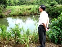 Nghiên cứu phát hiện ổ bệnh sán lá gan nhỏ Clonorchis sinensis tại một huyện Đak Song, tỉnh Đak Nông