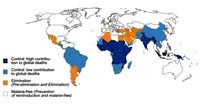 Chiến lược toàn cầu về phòng chống sốt rét (The Global Malaria Strategy)
