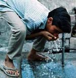 Cảnh giác bệnh lỵ trực khuẩn sau ngập lụt