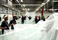 Màn lưới che cửa Olyset-một biện pháp phòng, chống muỗi truyền bệnh có hiệu quả