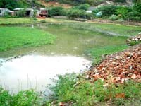 Tỉnh Bình Định tăng cường chỉ đạo phòng chống sốt rét trong các tháng cuối năm 2008