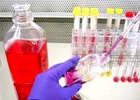 Phần II: Kỹ thuật In vivo, In vitro, PCR và đo nồng độ thuốc trong huyết tương trong nghiên cứu nhạy kháng thuốc sốt rét trên thế giới và Việt Nam (tiếp theo)