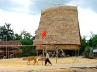 Hoạt động phòng chống sốt rét tỉnh Kon Tum trong 10 tháng đầu năm 2008