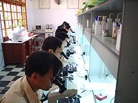 Cần nâng cao chất lượng xét nghiệm ký sinh trùng sốt rét ở cơ sở