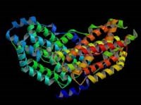 Bộ gene của ký sinh trùng sốt rét được giải mã