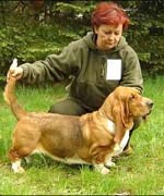 Chơi với chó dễ có cơ hội bị nhiễm bệnh ấu trùng giun đũa chó