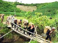 Nguy cơ sốt rét ở Đăk Nông vẫn tập trung cao ở dân di cư tự do