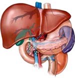 Bạn biết gì về bệnh viêm gan A và viêm gan B?