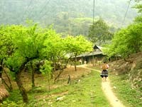 Ổ bệnh thiên nhiên và nguy cơ lây nhiễm bệnh