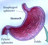 Viêm dạ dày ruột tăng bạch cầu ái toan-Một bệnh lý nội khoa_ký sinh trùng ít khi được nghĩ đến trên lâm sàng