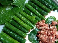 Bệnh sán dây bò có khác bệnh sán dây lợn không ?