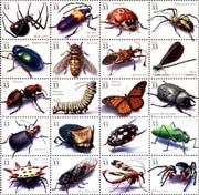 Những điều thú vị trong lịch sử thế giới côn trùng và lợi ích đối với con người