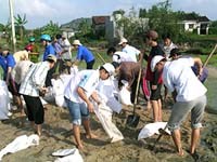 Những thành tích nổi bật trong hoạt động Đoàn Thanh niên Viện Sốt rét-Ký sinh trùng-Côn trùng Quy Nhơn năm 2008