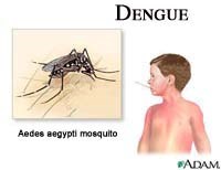 Nhân trường hợp sốt xuất huyết Dengue ở trẻ nhũ nhi 54 ngày tuổi