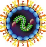 Chủ động khống chế dịch sởi đang có khả năng bùng phát