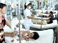 Ban điều hành Trung ương Dự án phòng chống sốt xuất huyết họp triển khai nhiệm vụ năm 2009