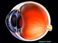 Biểu hiện đa dạng về hình ảnh lâm sàng do một số tổn thương trên mắt từ ký sinh trùng gây ra