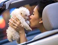 Tổng hợp y văn và giới thiệu ca bệnh về viêm màng não do giun đũa chó Toxocara canis