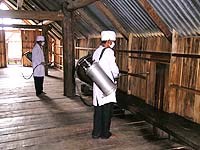 Thừa Thiên Huế đạt và vượt mục tiêu phòng chống sốt rét năm 2008