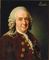 Bác sĩ - Nhà thực vật học Carl Von Linnaeus