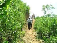 Các hoạt động chính của Viện Sốt rét-Ký sinh trùng-Côn trùng Quy Nhơn và khu vực miền Trung-Tây Nguyên tháng 2 năm 2009