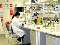 An toàn lao động, chăm sóc sức khỏe người lao động tại các cơ sở y tế và chuyên ngành sốt rét, ký sinh trùng, côn trùng