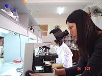 Phương pháp xác định mật độ ký sinh trùng sốt rét trên 1 µl máu