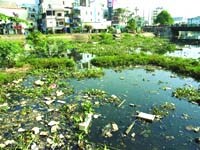 Phân, nước, rác - Biết rồi, khổ lắm, nói mãi