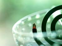 Sốt xuất huyết có vaccine phòng bệnh và thuốc điều trị đặc hiệu không ?