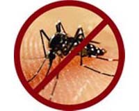 Cập nhật thông tin về phòng chống muỗi truyền bệnh sốt rét