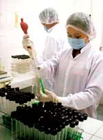 Nghĩ về đạo đức của người làm thuốc và cung ứng thuốc cho bệnh nhân