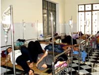 Bệnh nhân sán lá gan lớn gia tăng ở một số tỉnh miền Trung-Tây Nguyên trong các tháng đầu năm 2009