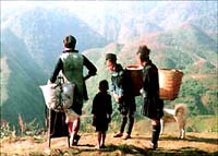 Dân di cư tự do Đăk Lăk và mối hiểm họa từ sốt rét