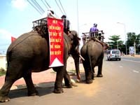 Lễ phát động chiến dịch phòng chống sốt rét và hưởng ứng Ngày sốt rét thế giới 25-4-2009 của khu vực miền Trung & Tây Nguyên tại Buôn Đôn (Đăk Lăk)