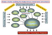 Nghiên cứu dược động học đánh giá tính nhạy kháng thông qua đo nồng độ thuốc sốt rét hoặc chất chuyển hóa trong huyết tương bệnh nhân