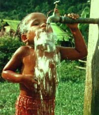 Nước uống đóng chai, đôi điều trăn trở