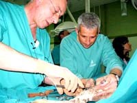 Một số khác biệt về bệnh sán lá gan lớn giữa người và gia súc