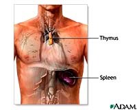Giới thiệu một số nội dung của miễn dịch học cơ bản