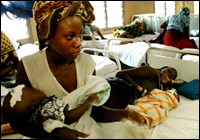 Thử nghiệm thành công hợp chất thiên nhiên chữa trị sốt rét ở chuột: Hướng đi mới cho công tác điều trị sốt rét