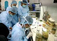 Bộ Y tế chỉ đạo triển khai các hoạt động phòng chống dịch tiêu chảy cấp nguy hiểm